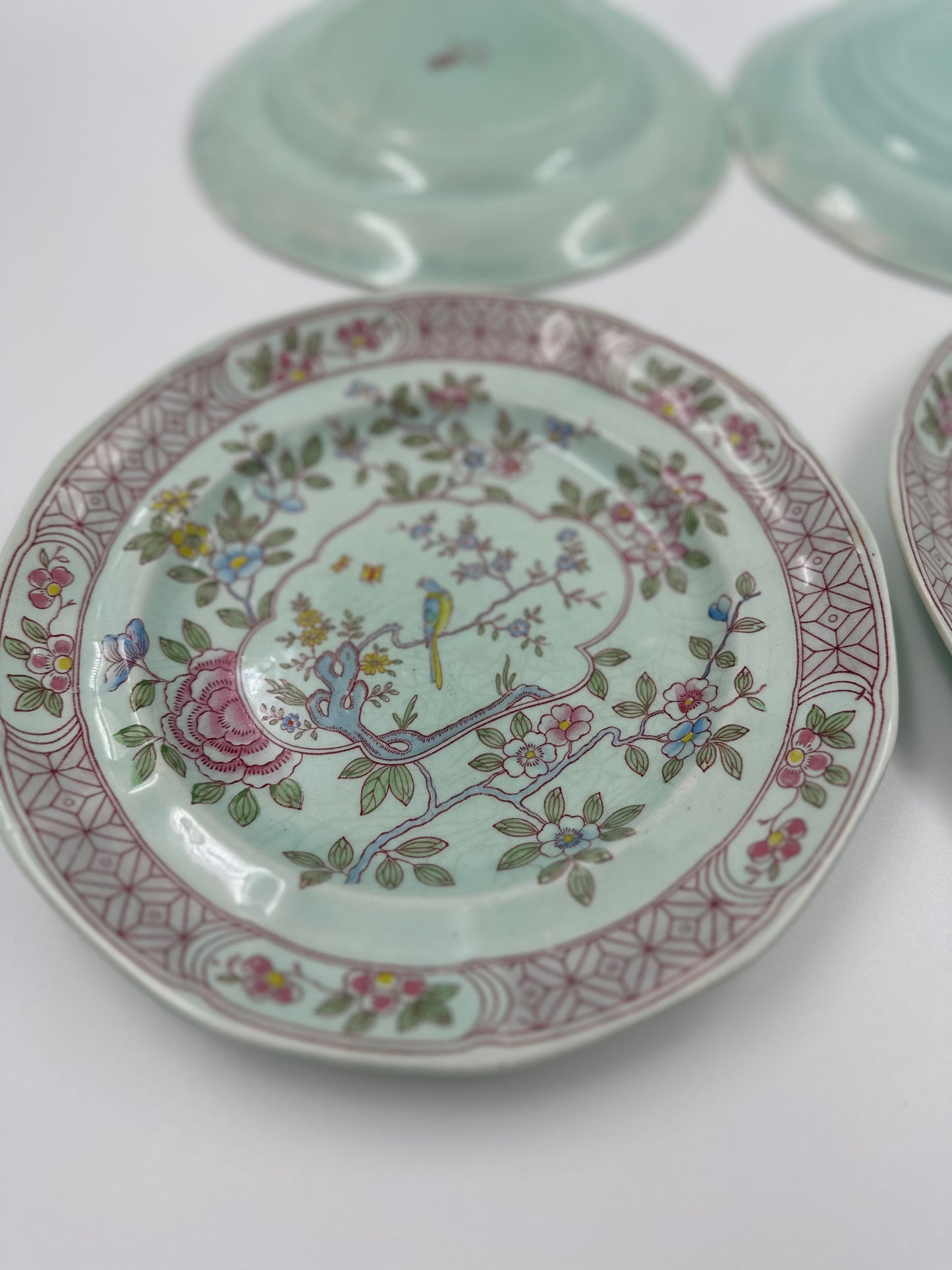 Set of four (4) Vintage Adams England Calyx Ware Singapore Bird 10" Dinner Plates